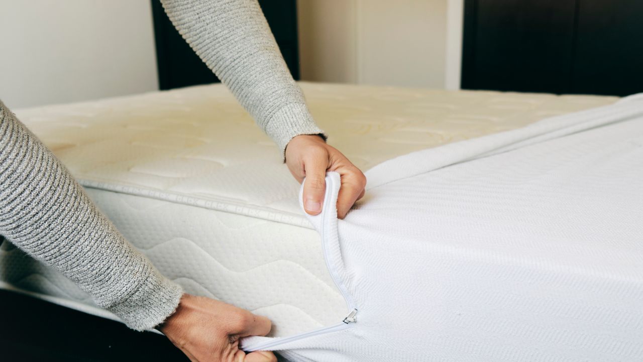 How Bed Bug Mattress Covers Work to Protect You From Bed Bugs